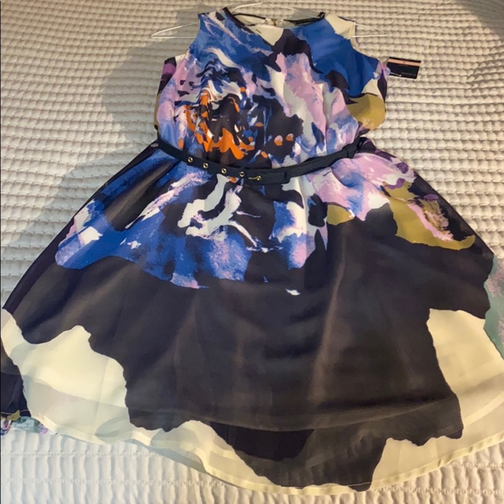 Just...Taylor belted swing dress